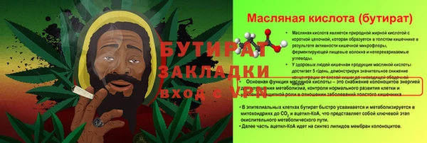 индика Новозыбков