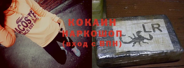 индика Новозыбков