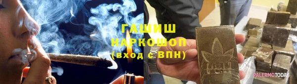 индика Новозыбков