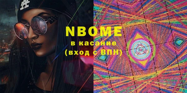 индика Новозыбков