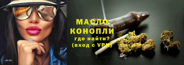 индика Новозыбков