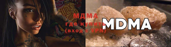 индика Новозыбков