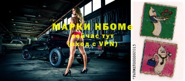 индика Новозыбков