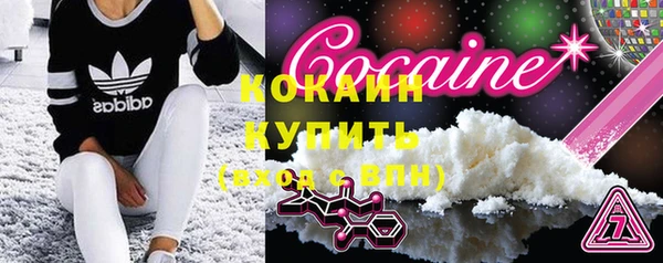 индика Новозыбков