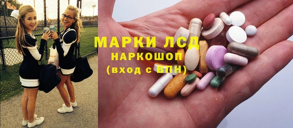 индика Новозыбков