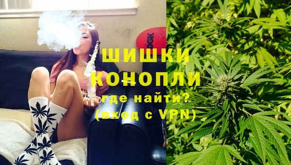 индика Новозыбков