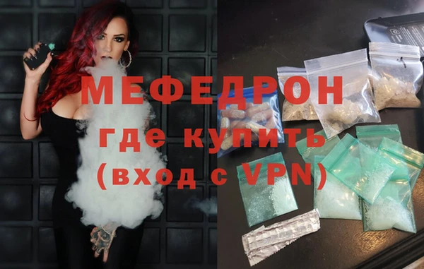 индика Новозыбков