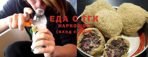 индика Новозыбков