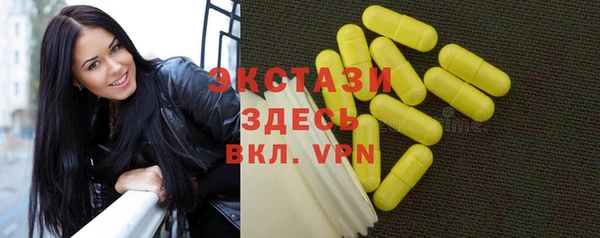 индика Новозыбков